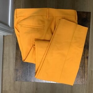 Express dress pants